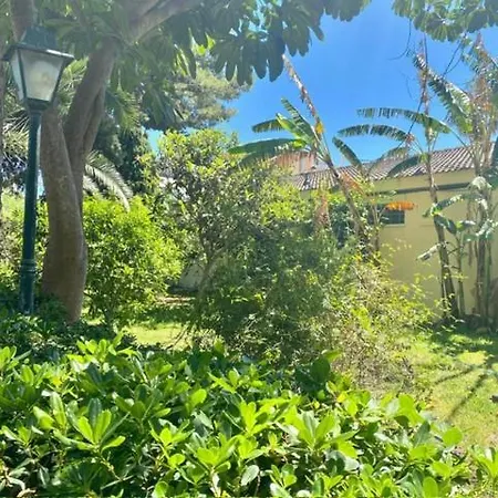 Jardin III